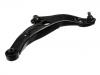 控制臂 Control Arm:B25D-34-300B