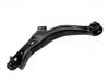 Control Arm:EC01-34-350F