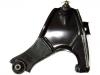 Control Arm:48068-87403