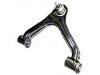 Control Arm:48610-0K020