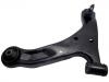 Control Arm:45202-65J00