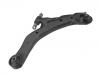 Control Arm:54501-2C002