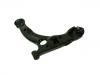 Control Arm:54500-17000