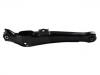 Control Arm:MN100108