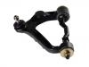 Brazo de suspensión Control Arm:48067-29075