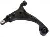 Control Arm:54500-2G100