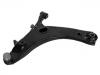 Bras de liaison Control Arm:20202-SC012