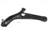 Control Arm:48069-59055