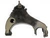 Control Arm:54501-9Z510