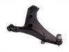 Brazo de suspensión Control Arm:20202-SG010