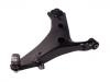 Control Arm:20202-SG000