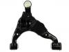 Control Arm:48068-60040