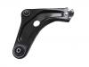 Control Arm:98 221 269 80