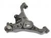 Control Arm:54501-EB71A