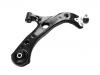 Control Arm:48068-47060