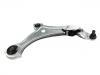 Control Arm:545001JA0A